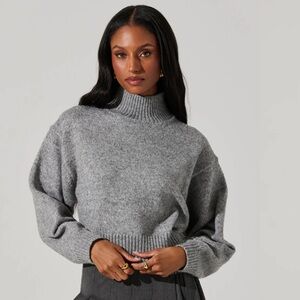 Astr Fiala Sweater in Grey